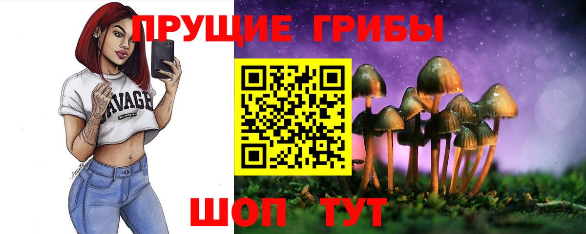 Псилоцибиновые грибы прущие грибы Владимир